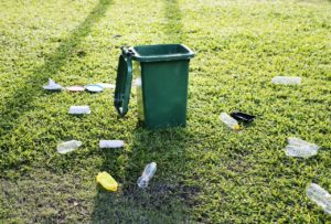 Green Packing Trends of the Summer